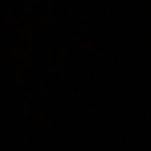 Meet your Posher, Jerrell